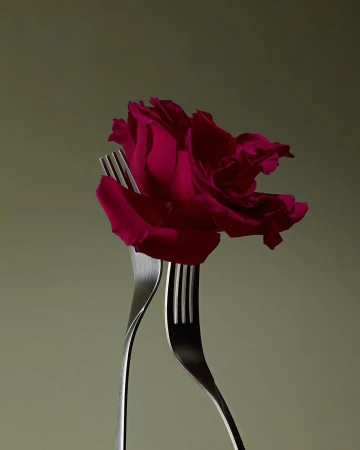 Still life shot of a red rose balanced between two silver forks against a neutral green background, studio lighting, and simple composition.