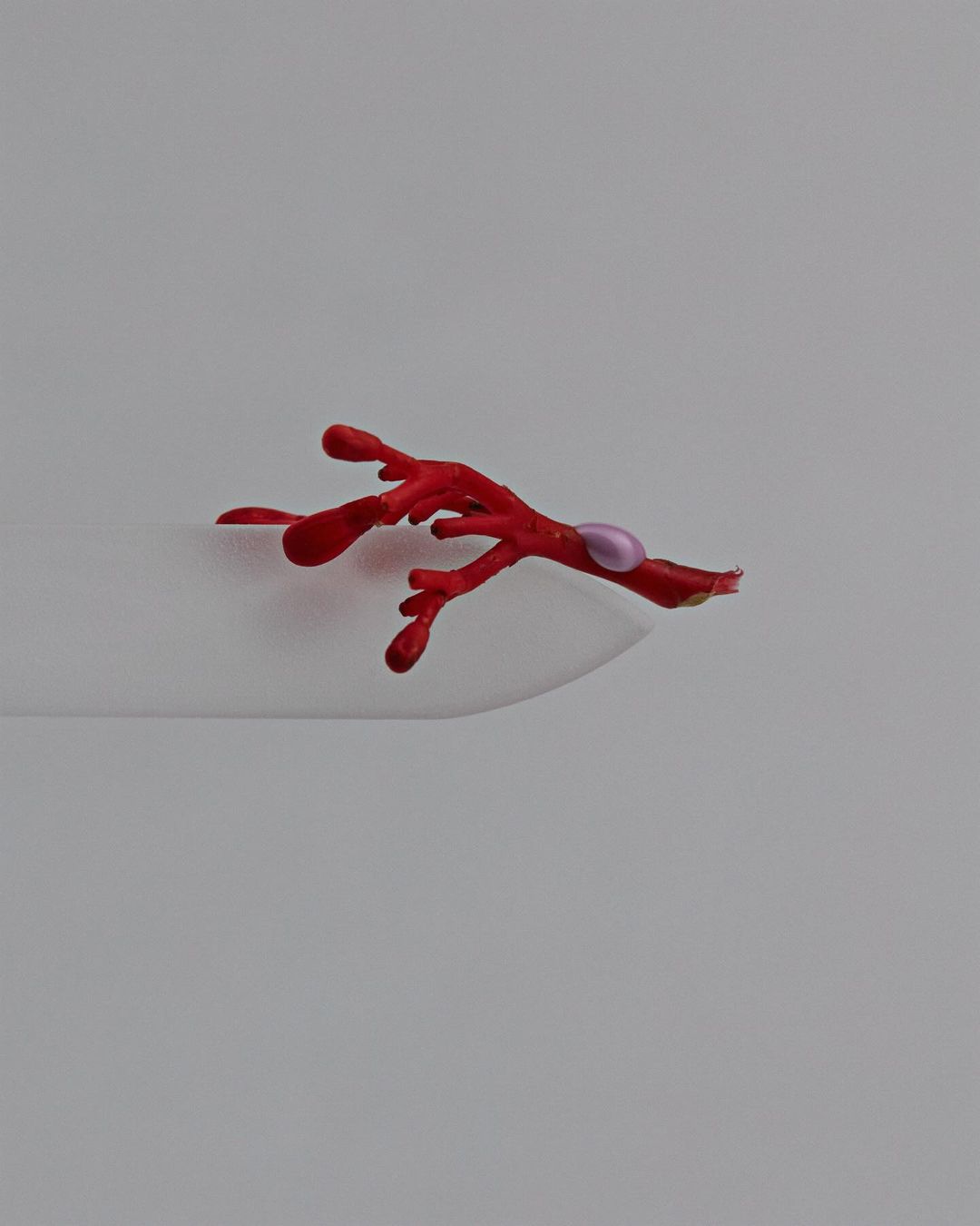 Close-up studio shot of a vibrant red branch adorned with a single lilac-colored bead, presented against a soft gradient white background.