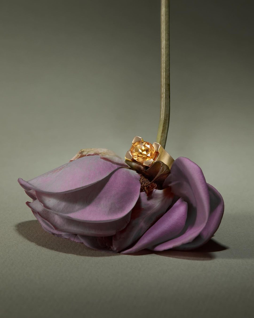 Close-up studio shot of a gold ring with a yellow gem, nestled in the petals of a pale purple flower with a green stem against grey backdrop.