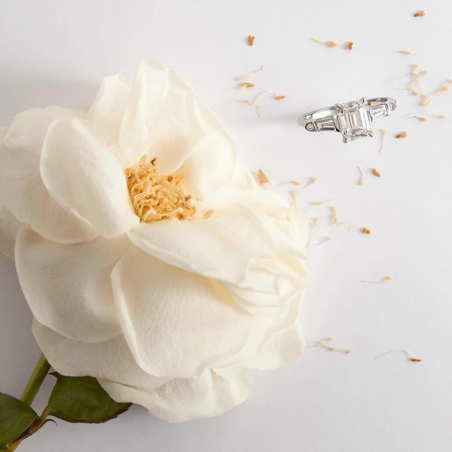 Engagement ring with white gemstones on a white surface next to a large white flower with visible stem, set against a white background.