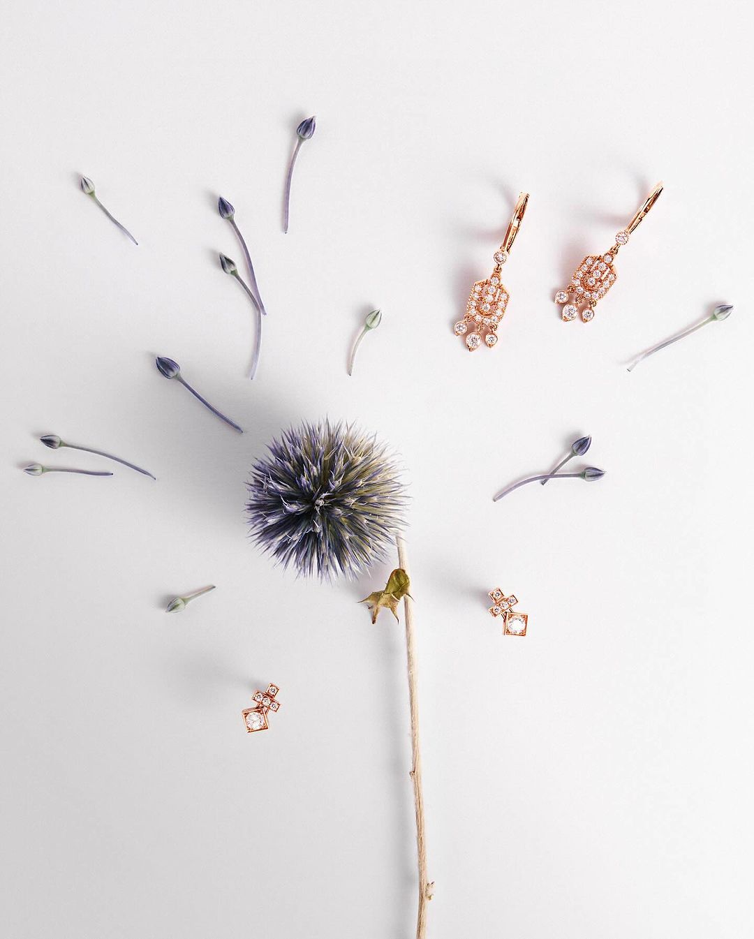Floral jewelry still life on white: Purple globe thistle with dainty gold drop earrings and stud earrings, botanical theme.