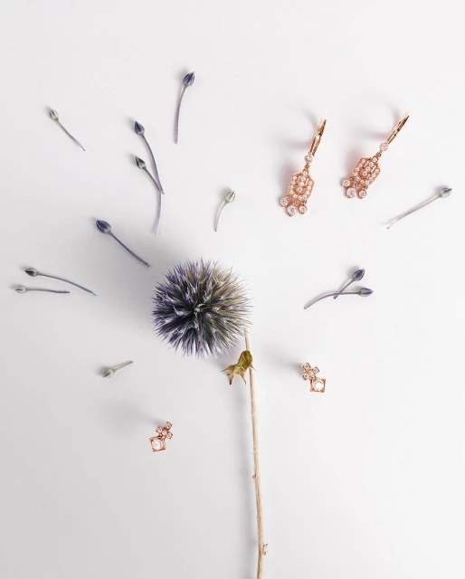 Floral jewelry still life on white: Purple globe thistle with dainty gold drop earrings and stud earrings, botanical theme.
