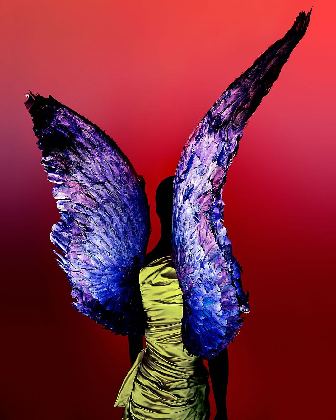 Person with butterfly wings poses against a vivid red backdrop, artistic representation of nature and beauty, studio setting with dramatic lighting.