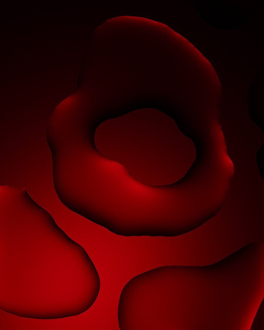 Abstract still life in shades of red and black, featuring organic shapes with soft shadows and gradations, creating a dreamy aesthetic.