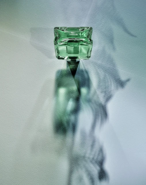 Emilie Erbin