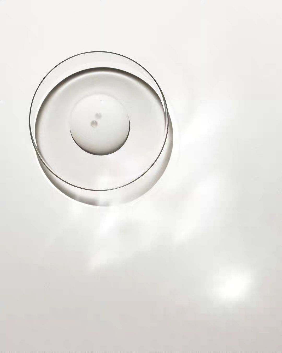 Overhead studio shot of a clear, empty petri dish, circular and transparent, resting on a bright white surface with soft shadows.