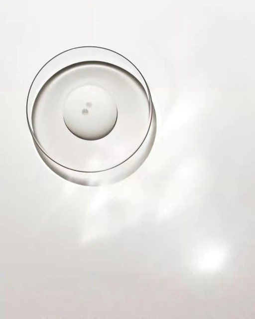 Overhead studio shot of a clear, empty petri dish, circular and transparent, resting on a bright white surface with soft shadows.