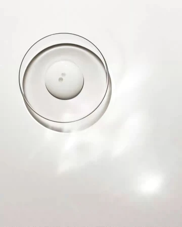 Overhead studio shot of a clear, empty petri dish, circular and transparent, resting on a bright white surface with soft shadows.