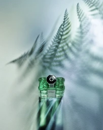 Green glass perfume bottle resting on a light surface with dramatic fern shadow projections across the scene.