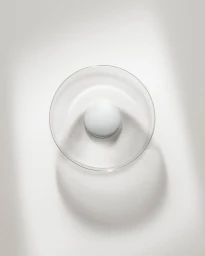 Overhead studio shot of a spherical white object inside a clear glass dish on a light textured surface.