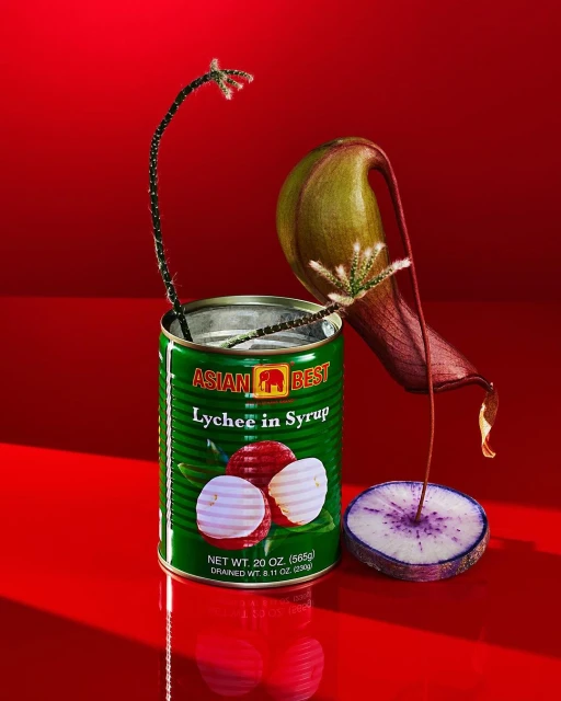 Still life photo of lychee in syrup can surrounded by decorative plants, red background. Food photography, studio lighting, close-up shot.