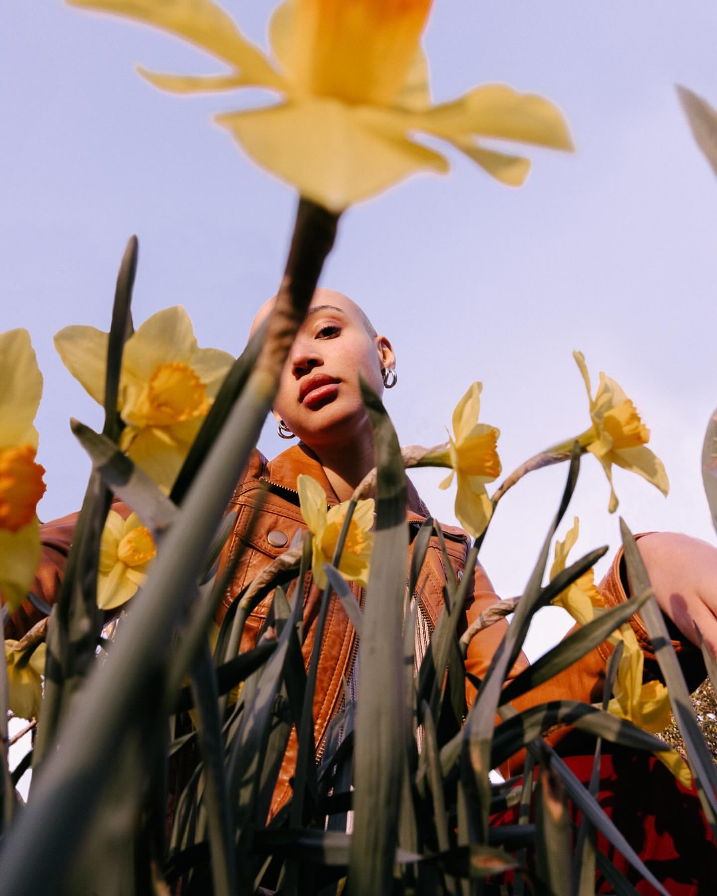 Low-angle shot of a woman with shaved head among yellow daffodils, wearing a brown jacket, with clear sky visible in the background.