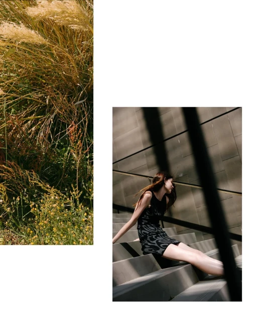 Woman in a dress sitting on concrete stairs with grasses to the side, bathed in sunlight with strong shadows and outdoor setting.