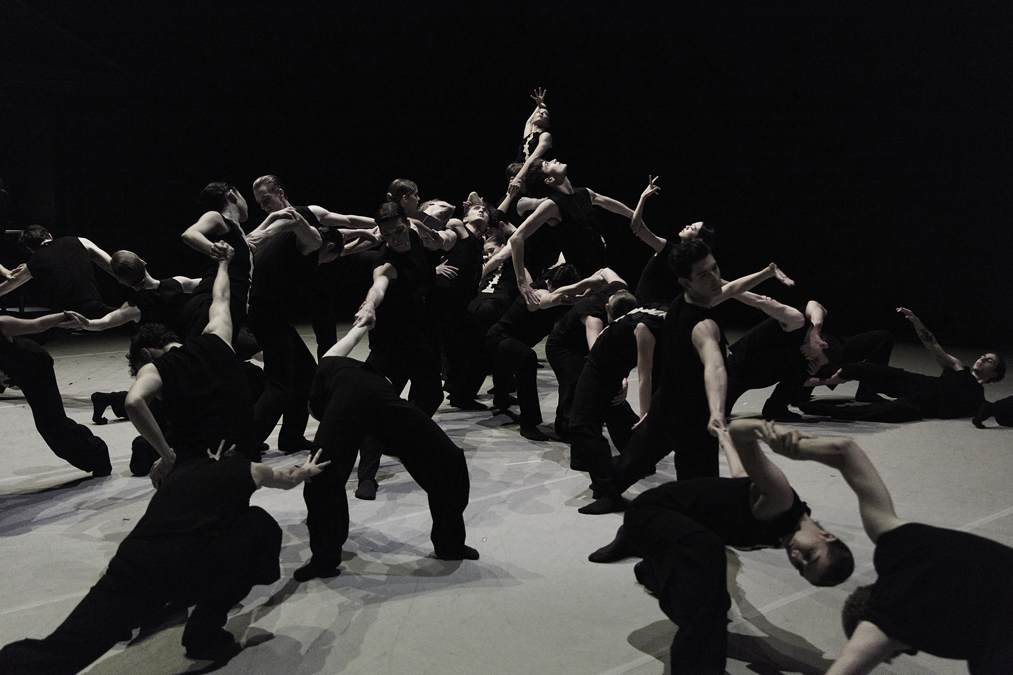 A large group of dancers wearing black perform on a dimly lit stage, creating interesting shapes with their bodies and limbs.