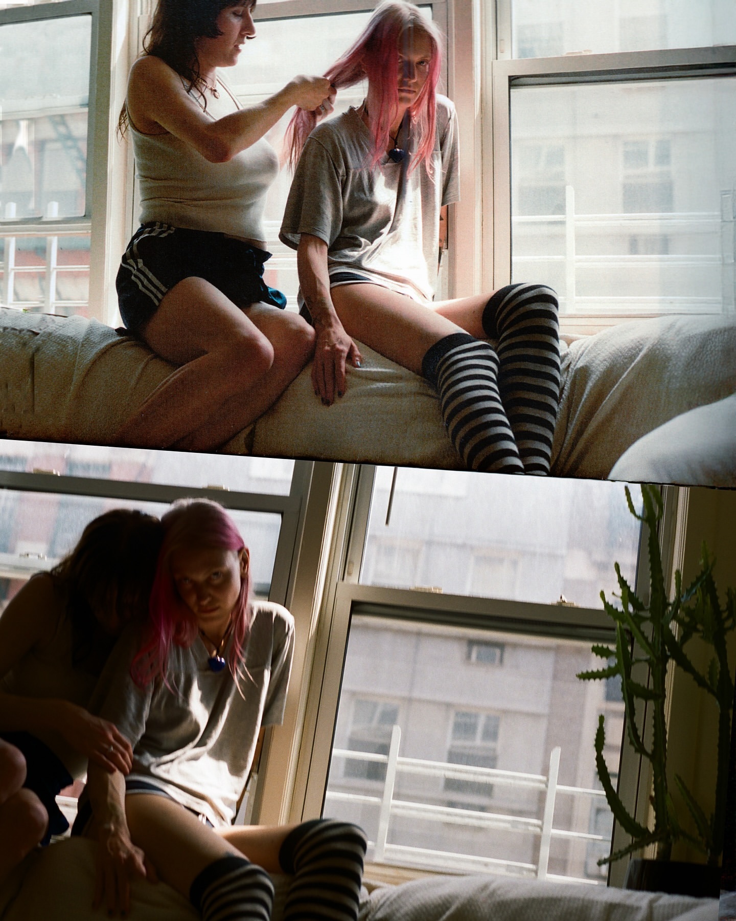 Two young women indoors; one sitting behind the other, braiding pink hair near a bright window with urban buildings visible outside.