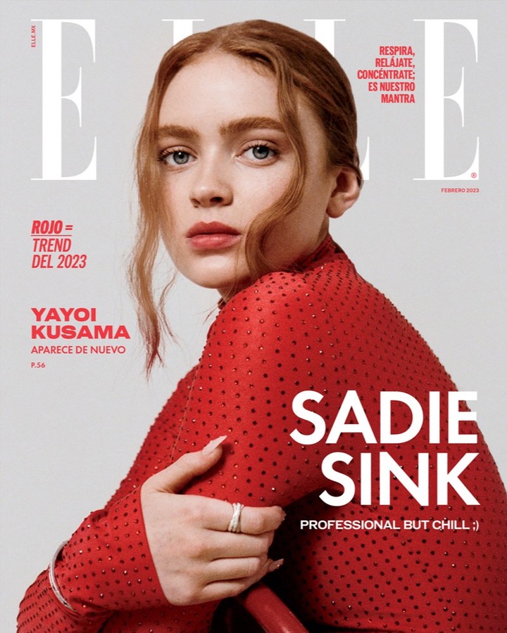 Magazine cover featuring Sadie Sink, in a red embellished top, with the Elle logo, against a light gray background, showcasing a close-up shot.