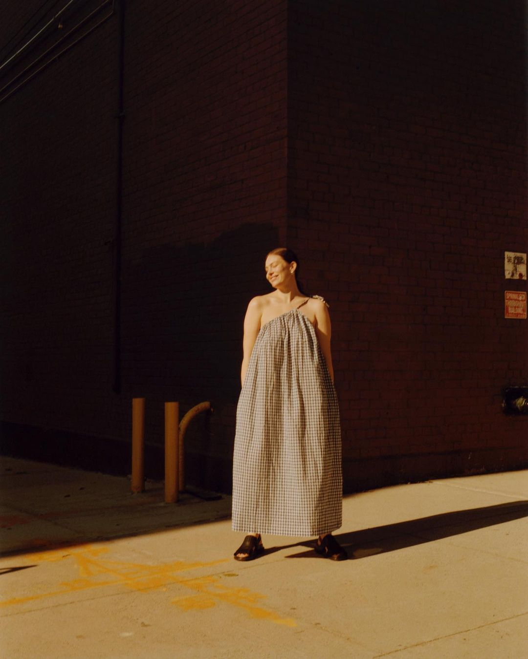 Woman wearing a gingham dress stands in sunlight against a dark wall, looking off to the side in an outdoor setting, fashion.