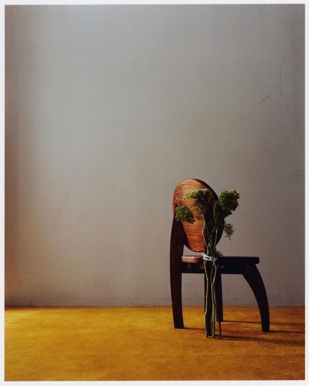 A wooden chair with a bouquet of green foliage sits against a neutral wall, casting a shadow on a yellow ochre floor.