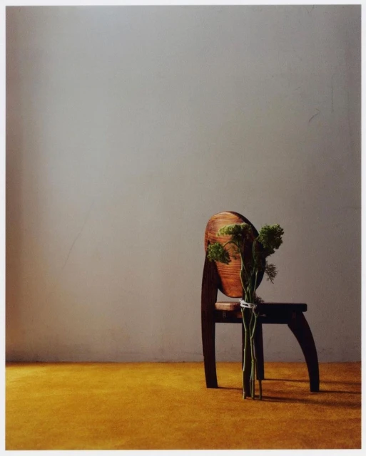 A wooden chair with a bouquet of green foliage sits against a neutral wall, casting a shadow on a yellow ochre floor.