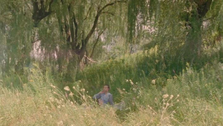 Woman sits in a field surrounded by green plants and a large weeping willow tree in a serene natural setting on a summer day.
