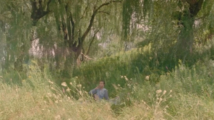 Woman sits in a field surrounded by green plants and a large weeping willow tree in a serene natural setting on a summer day.