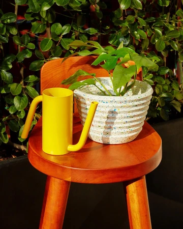 Still life of a potted plant and yellow watering can arranged on a wooden stool against a leafy green background, bathed in sunlight.