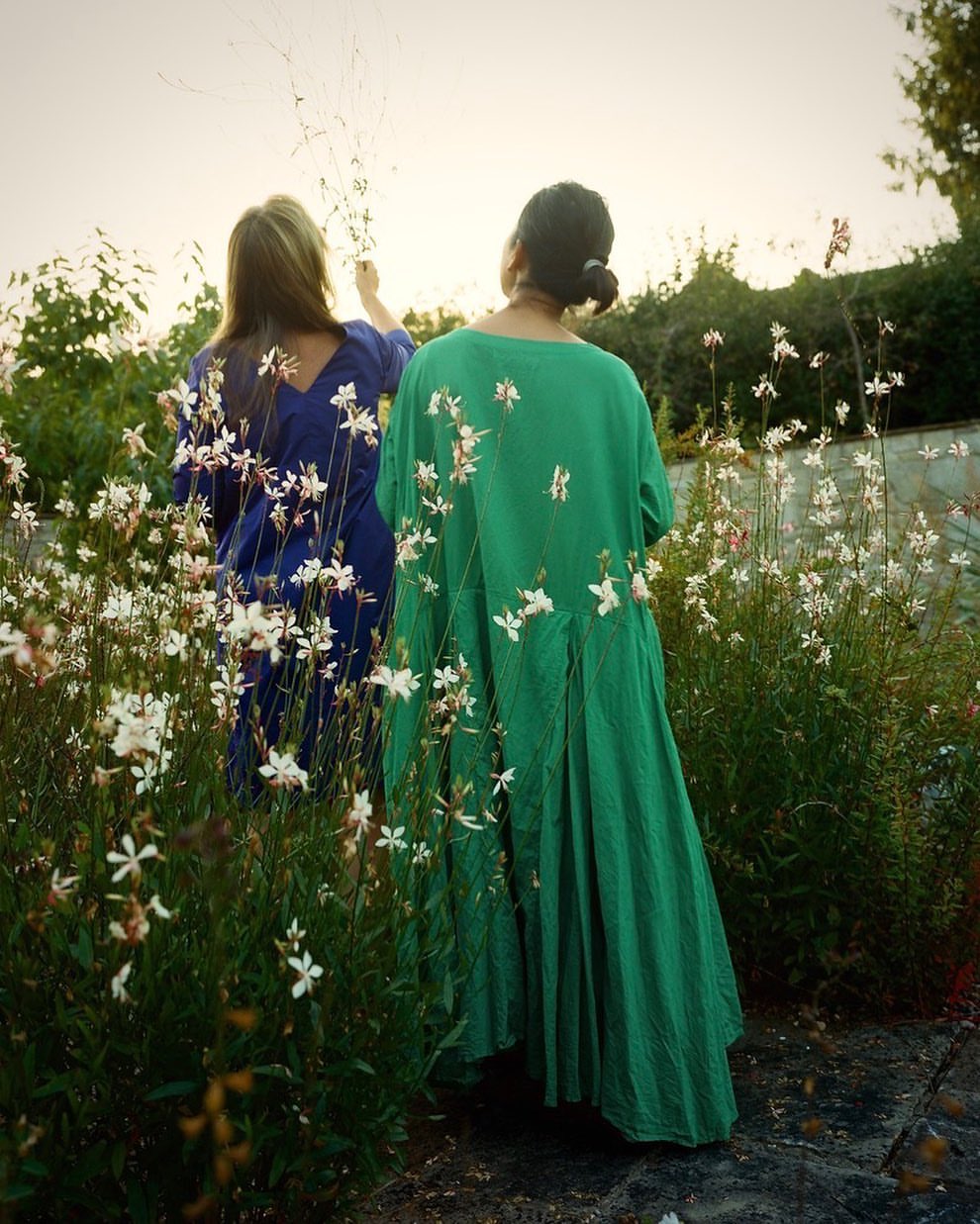 Two women in dresses stand among wildflowers in a garden setting, bathed in soft light, viewed from the back, showcasing outdoor fashion.