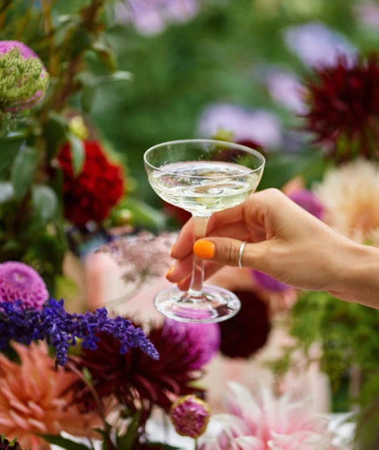 Close-up of a hand holding a stemmed glass of champagne surrounded by colorful flowers in an indoor setting with natural lighting.