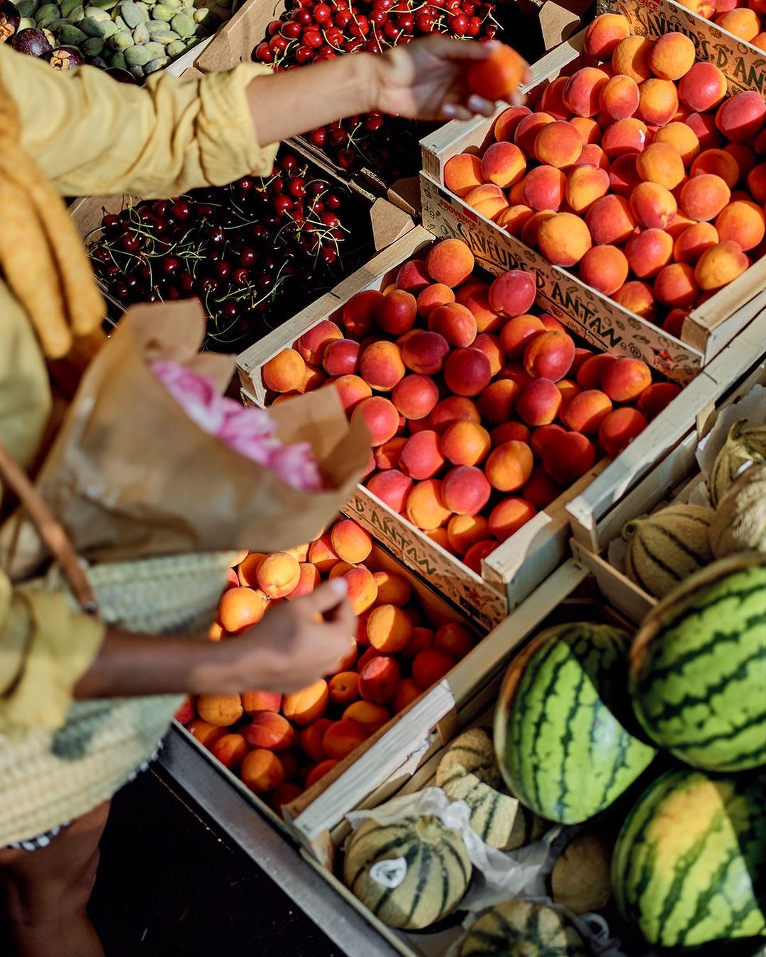 Person shopping for fresh apricots, cherries, and watermelons at an outdoor farmers market. Bright, sunny, summery food photography.