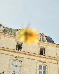 An out-of-focus yellow flower blurs the foreground in front of a classical stone building facade under a pale sky.