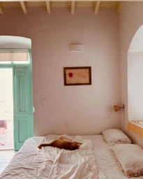 An orange cat resting on a white unmade bed in a bright bedroom with pink walls and a turquoise doorway.