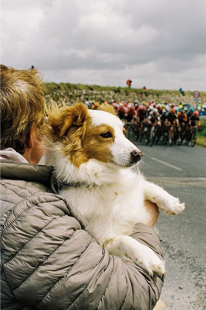 Cute dog being held by a person outdoors with cyclists blurred in the background; puffy jacket and cloudy sky visible.
