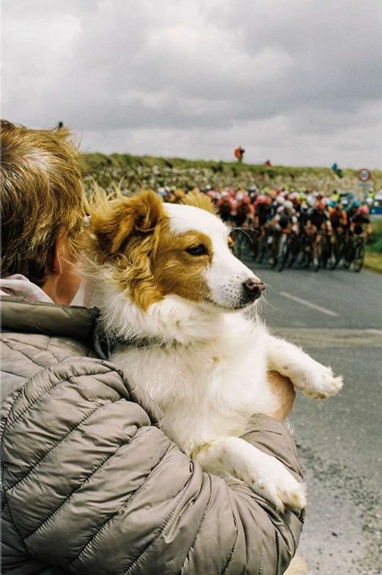 Cute dog being held by a person outdoors with cyclists blurred in the background; puffy jacket and cloudy sky visible.