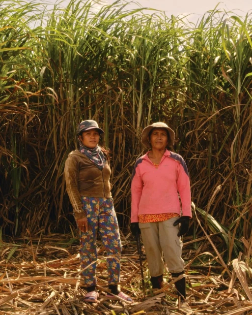 Two women stand in a field of tall sugarcane, wearing hats and casual clothing. The sugarcane towers behind them under a bright sky.