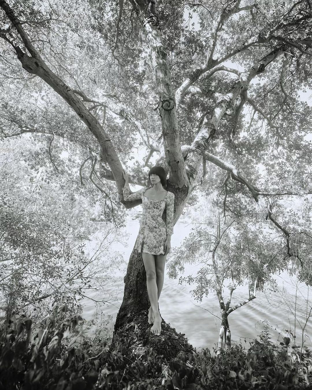 Monochrome fashion portrait of a female adult in a floral dress standing barefoot on a tree by a body of water.