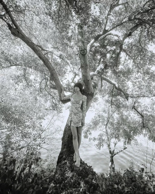 Monochrome fashion portrait of a female adult in a floral dress standing barefoot on a tree by a body of water.