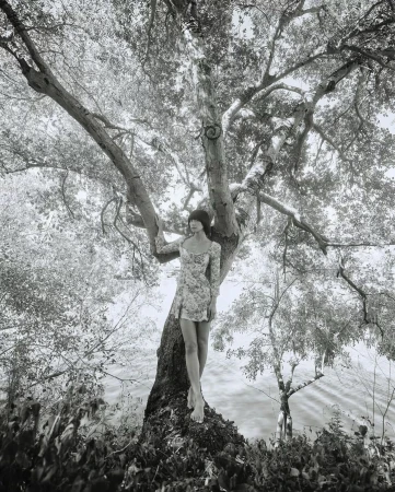 Monochrome fashion portrait of a female adult in a floral dress standing barefoot on a tree by a body of water.