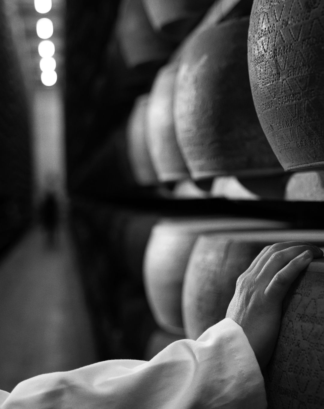 Black and white photo of a hand resting on a stacked row of Parmigiano Reggiano cheese wheels inside of a storage warehouse.