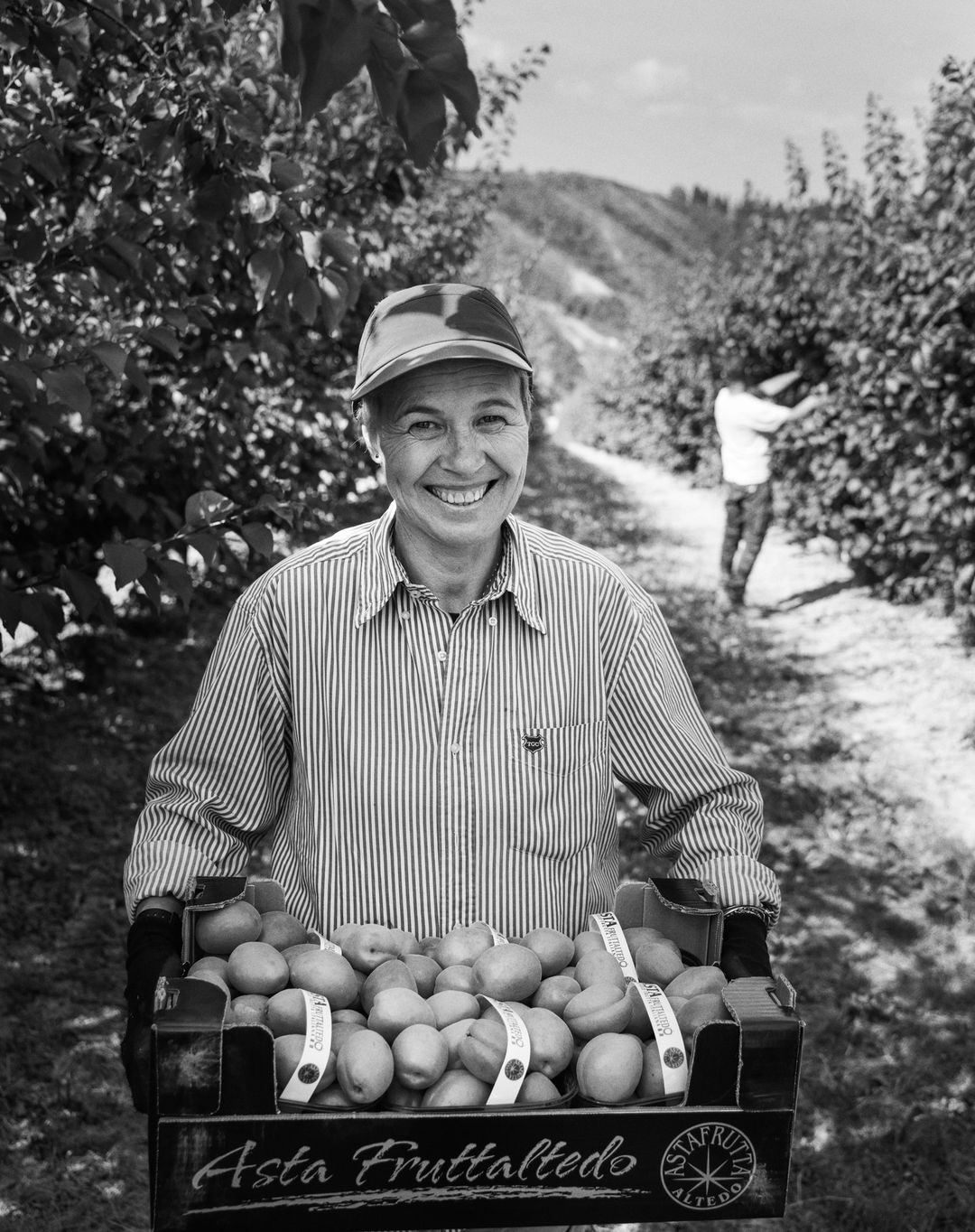 Monochrome portrait of a smiling woman in a striped shirt and cap, holding a crate of peaches in an orchard landscape setting.