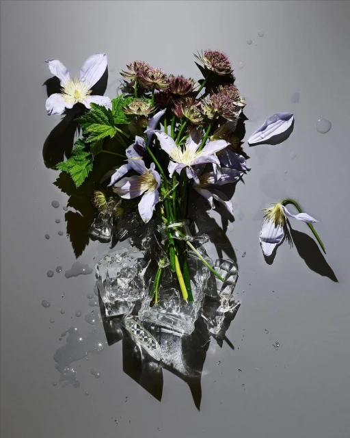 Floral still life featuring a bouquet of light purple and burgundy flowers with ice cubes, resting on a shiny gray surface with water droplets.