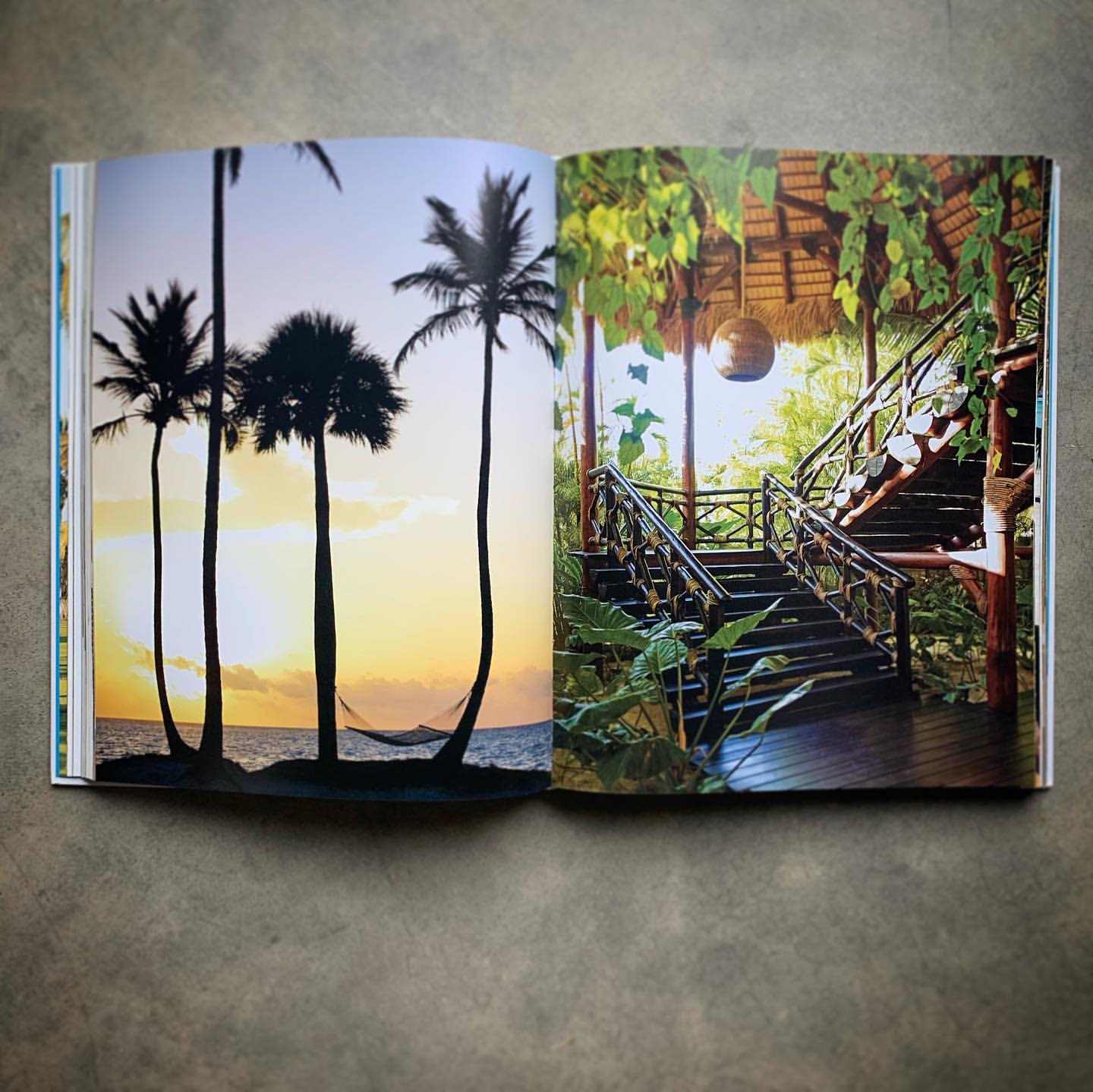 Open book displays a tropical landscape with palm trees at sunset and an elaborate wooden staircase surrounded by lush greenery.