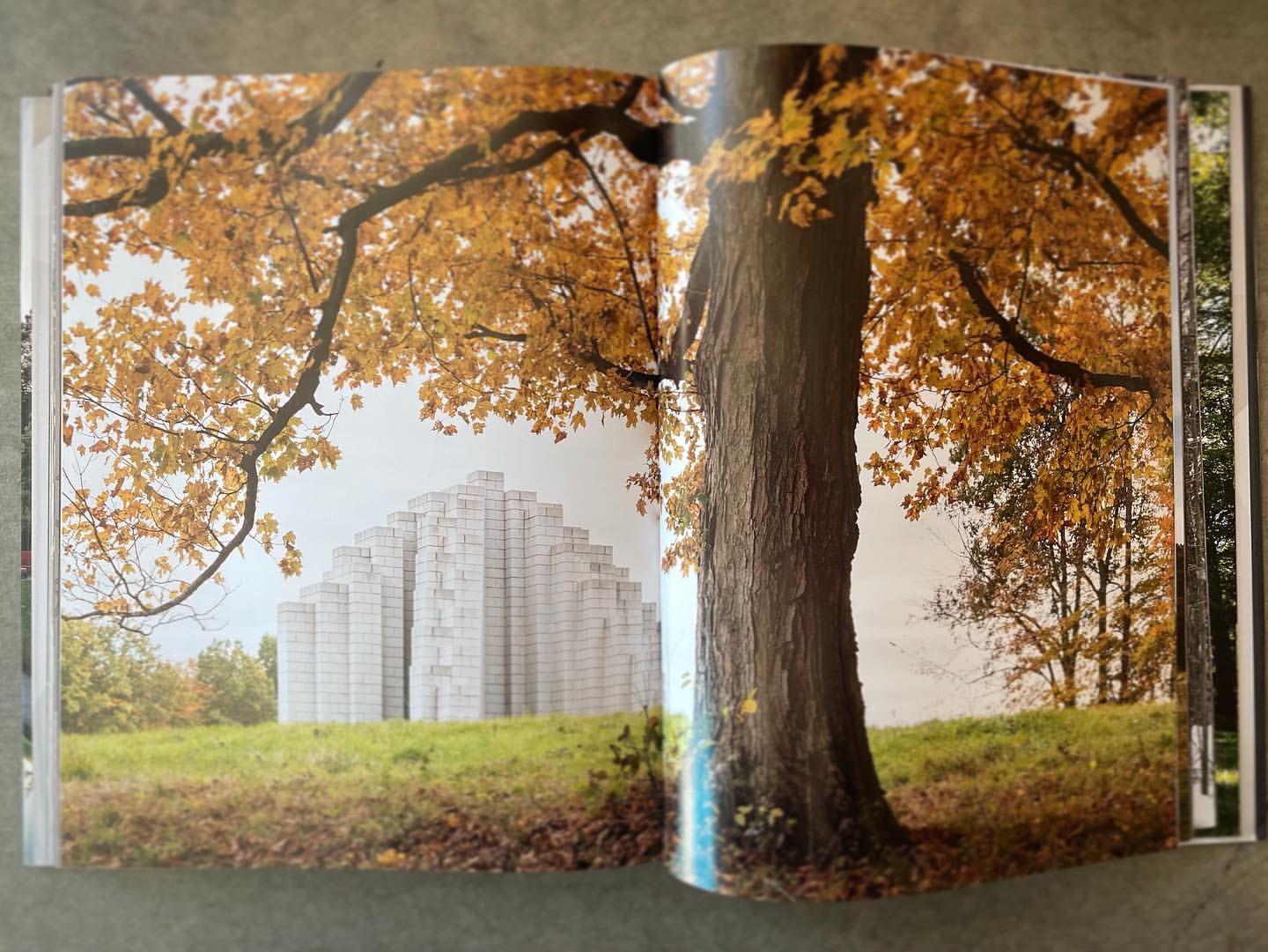 An open book spread shows a photograph of a large tree trunk with autumn foliage framing a stepped white stone monument in a landscape.