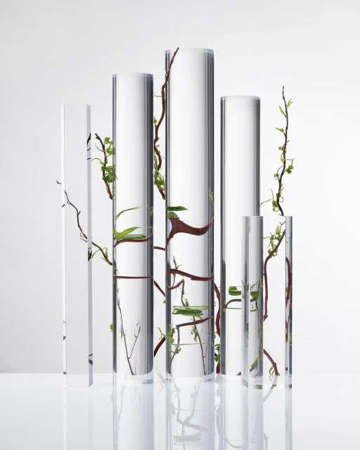 Still life arrangement of clear cylindrical vases with intertwined branches and green leaves against a white background, studio lighting.