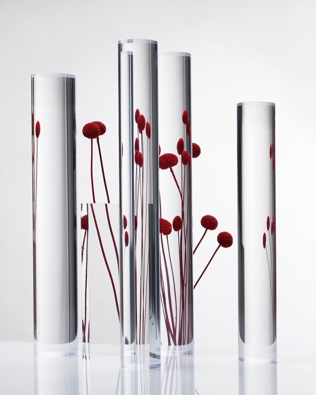 Still life of a transparent glass cylinder set, featuring red flower buds in clear vases against a white background, studio setting.