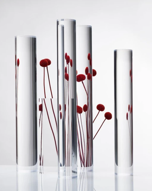 Still life of a transparent glass cylinder set, featuring red flower buds in clear vases against a white background, studio setting.