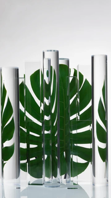 An arrangement of clear glass cylinders and rectangles of various sizes, with a Monstera leaf behind them against a white background.