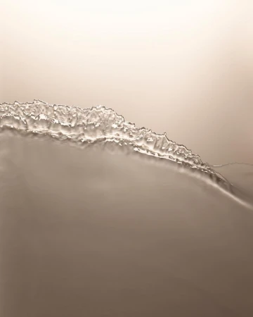 Abstract photograph of neutral-toned liquid surface with textured, crystallized edge, creating a minimalistic yet visually intriguing composition.