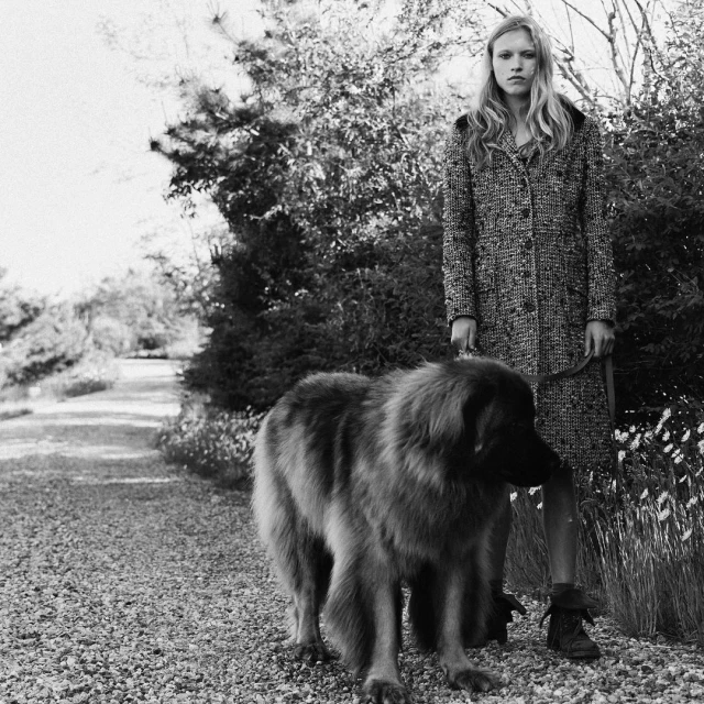 Blonde woman in tweed coat walks large long-haired dog on leash along gravel path lined with trees and foliage in black and white.