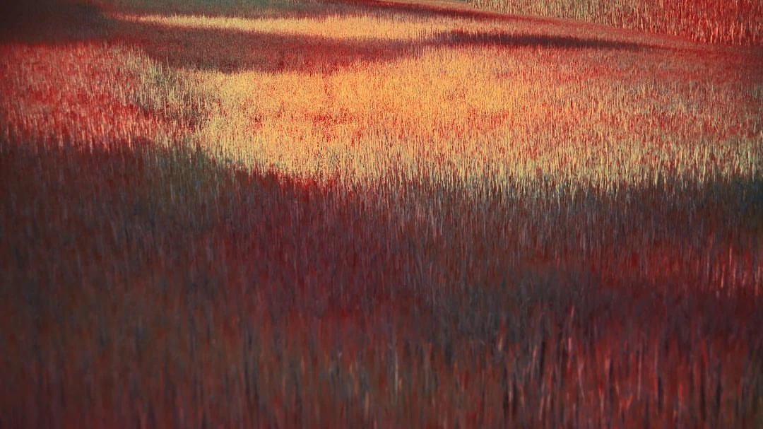 Artistic, sun-drenched field of tall grass in shades of rust, gold, and brown, resembling a painting; a soft, painterly aesthetic.