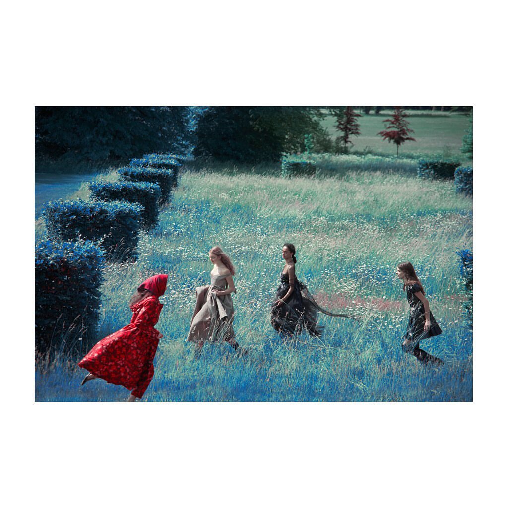 Four women in formal gowns walking through a grassy field lined with bushes and trees, evoking a sense of fashion and nature.